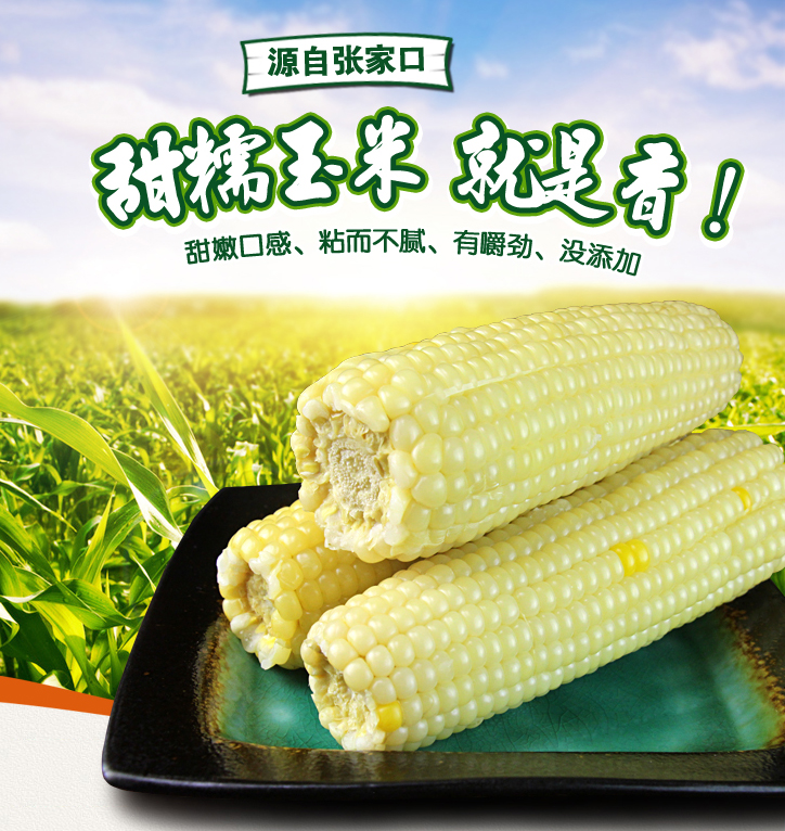 【实发6斤】张家口白糯玉米营养粗粮非转基因鲜食玉米真空10条装