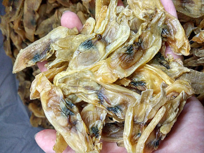 1件包邮福建特产宁德海鲜干货淡晒生蛏干蛏干肉500克蛏子肉