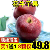 免费高清电影在线观看 神话高清电影在线观看 免费的三级片