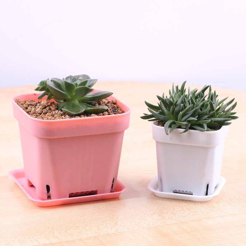 特价白色小花盆_心踪方形白色小花盆彩色塑料多肉小方盆加厚简约大号