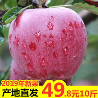 龙生龙凤生凤飘花影院手机版飘特聘飘花电影网第一页别致黄姗姗