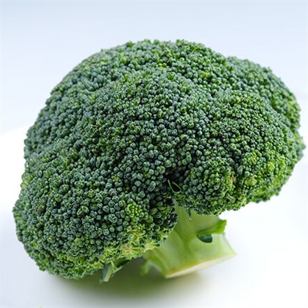 新鲜西兰花500g花椰菜 家常食材 西餐配菜 江浙沪满69