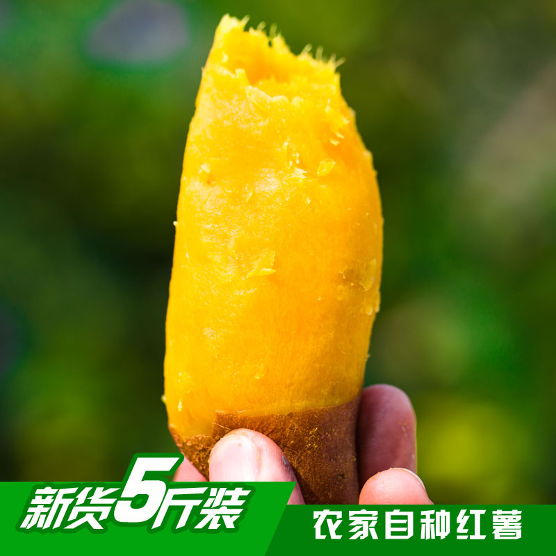 2018年新货黄心番薯板栗红薯新鲜农家自种富硒地?#20185;接?斤
