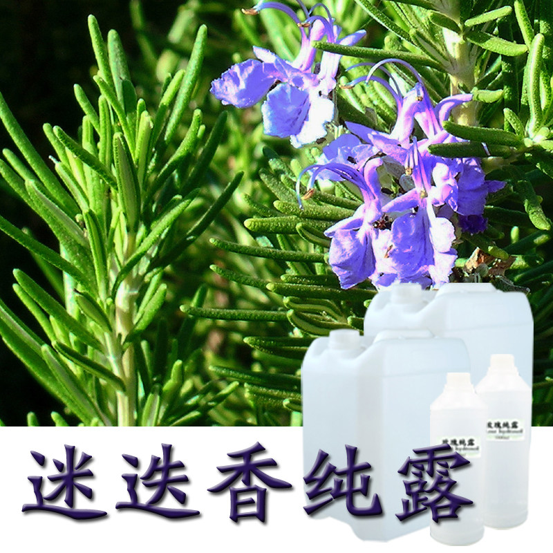 热销迷迭香纯露