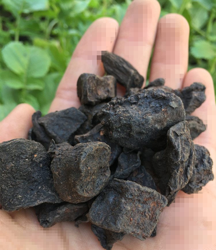 中药材 野生制何首乌 正品制首乌粉炙首乌茶防脱发育发黑发 500克