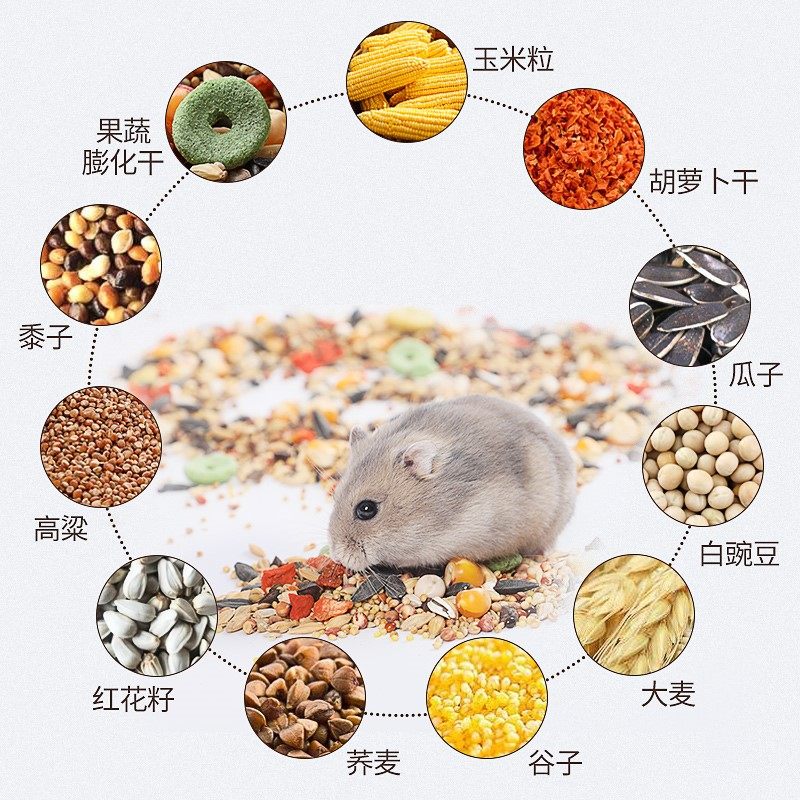 仓鼠粮食 主粮 谷物_仓鼠粮食 谷物仓鼠粮小仓鼠用品饲料金丝熊食物
