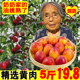 明末清初免费岛国片网站正宗虹威炀炀神马第九影院超神影院