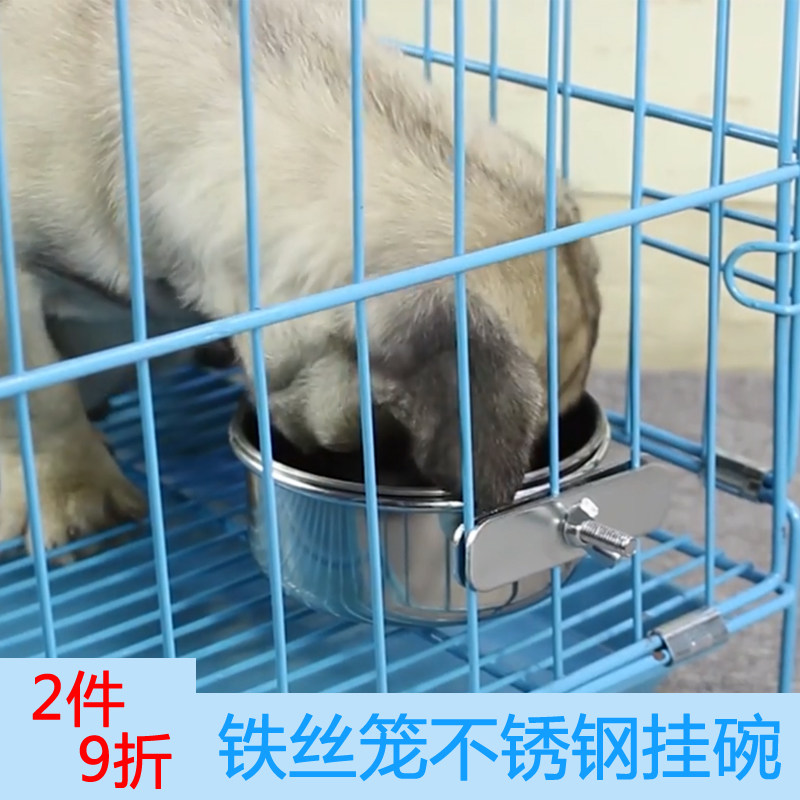 狗盆 金毛