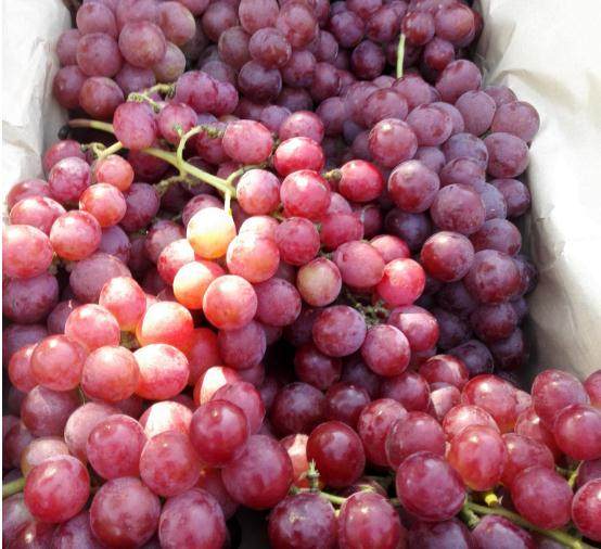 丹徒区信用卡取现利息多少【加▲威信Q同号:4