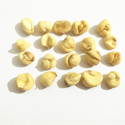 野生贝母西藏野生藏贝母尖贝贝母粉苦味浓无硫熏250克140元包邮