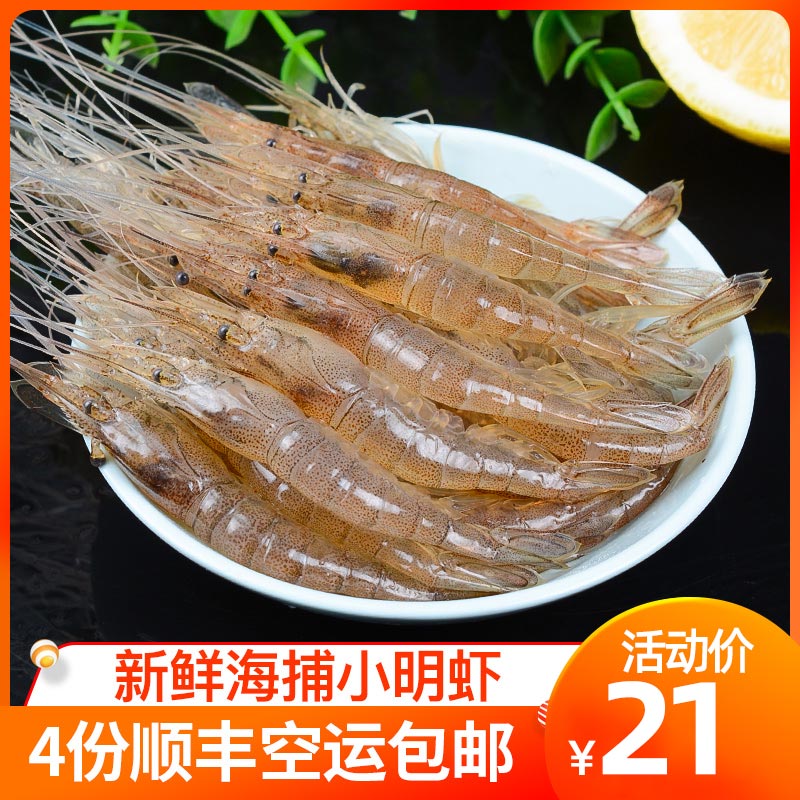青岛海捕小明虾鲜活速冻新鲜海虾冷冻明虾海鲜水产250g