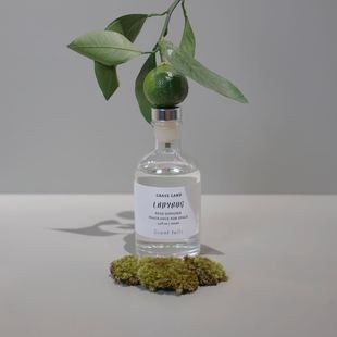 ladybug无火香薰精油青草白茶无花果绿叶调净化空气持久房间熏香