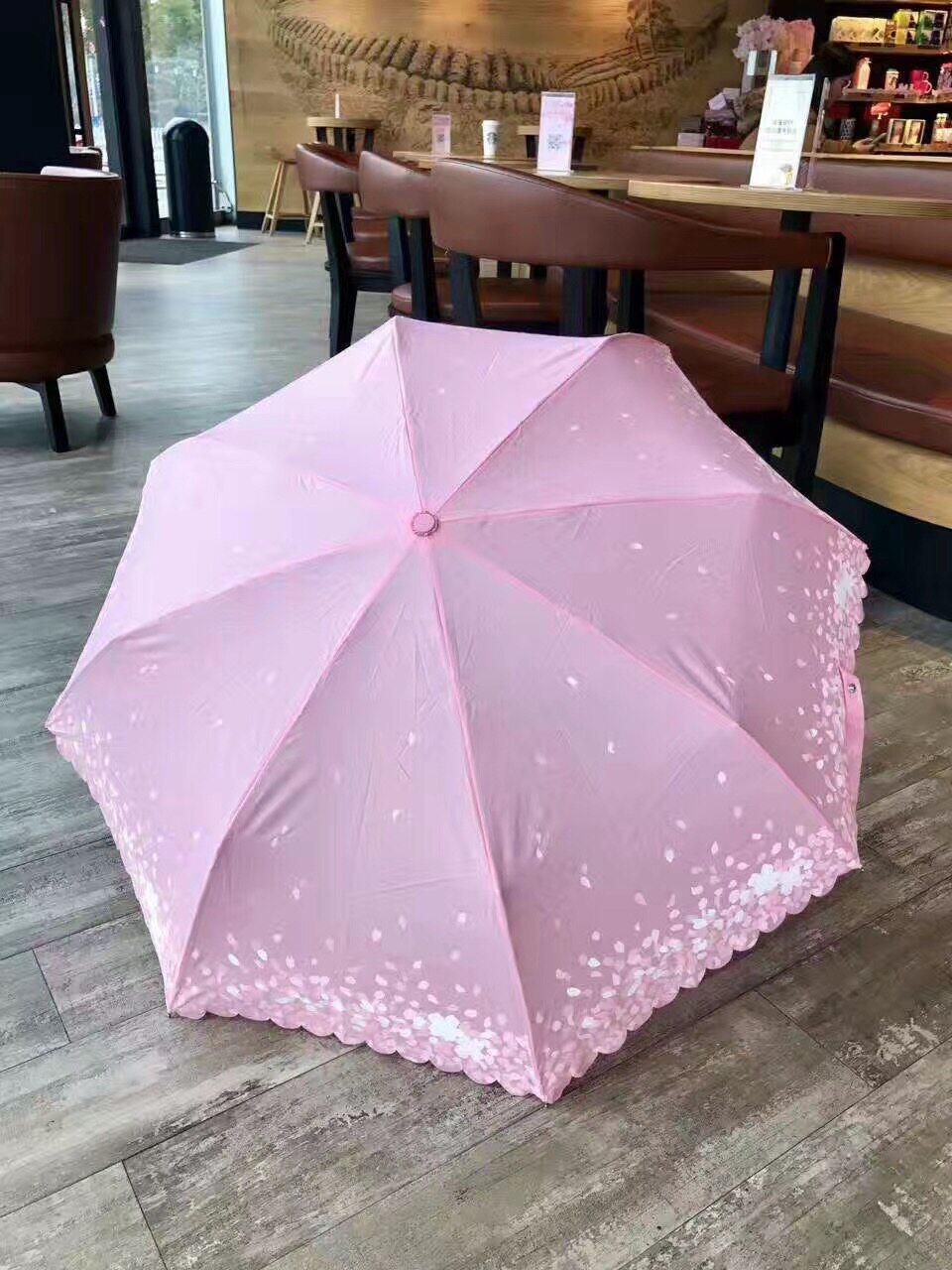 包邮星巴克正品樱花系列粉色樱花变色雨伞华东独有现货