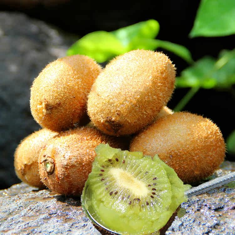 江山徐香猕猴桃绿心奇异果新鲜水果精品特大果王5斤装礼盒包邮