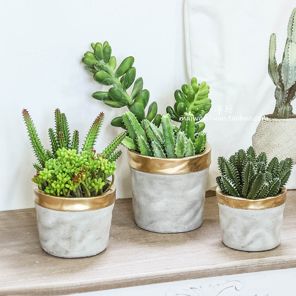 盆栽盆器大额优惠券