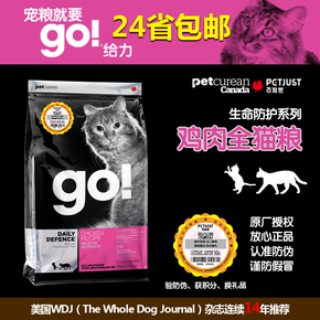 重生之冠军篮球经理