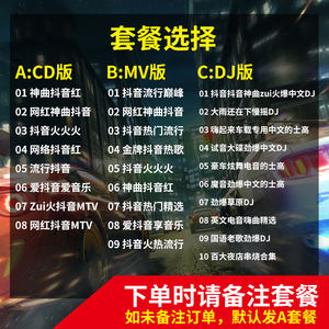 2018抖音热门歌曲快手流行音乐DJ16g汽车载