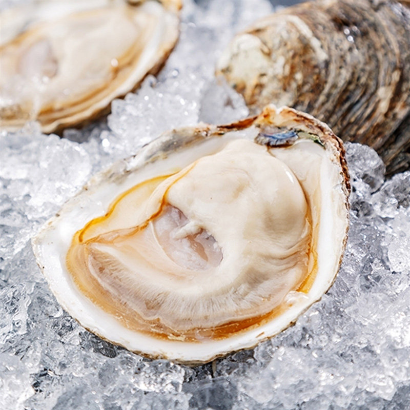 生蚝吧进口贝隆000号 新鲜活牡蛎12只即食生吃刺身送开蚝工具刀