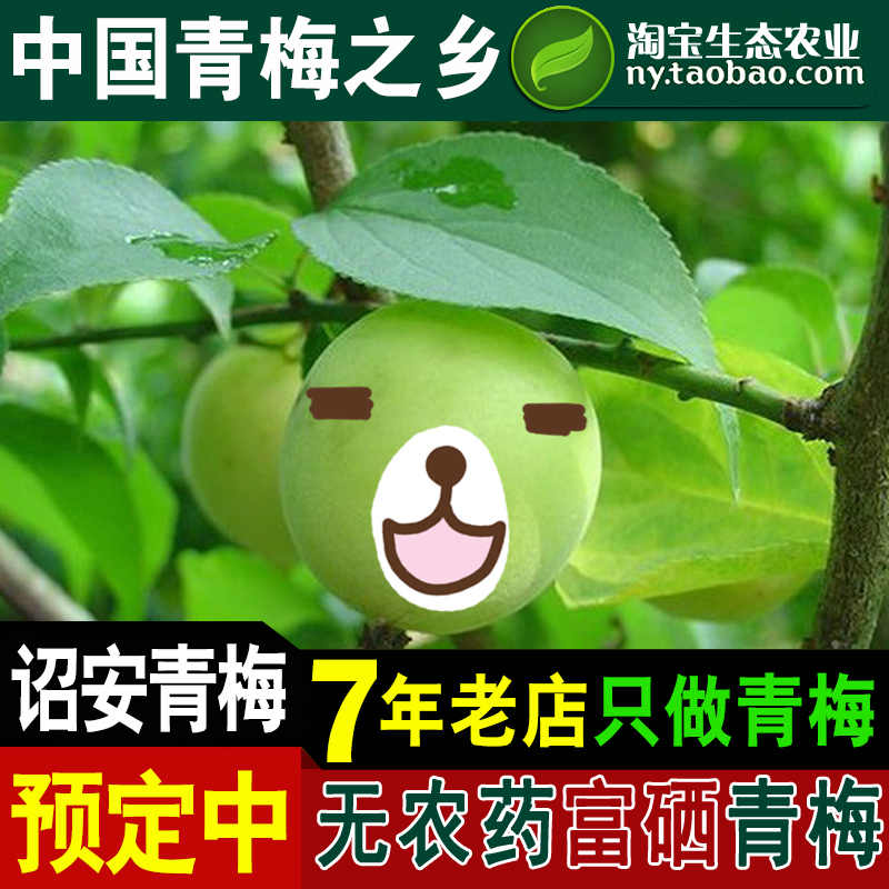 2018年梅小鲜新鲜青梅果 青梅之乡诏安 代泡青梅酒制红星酸梅子