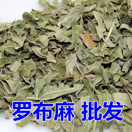 罗布麻茶叶