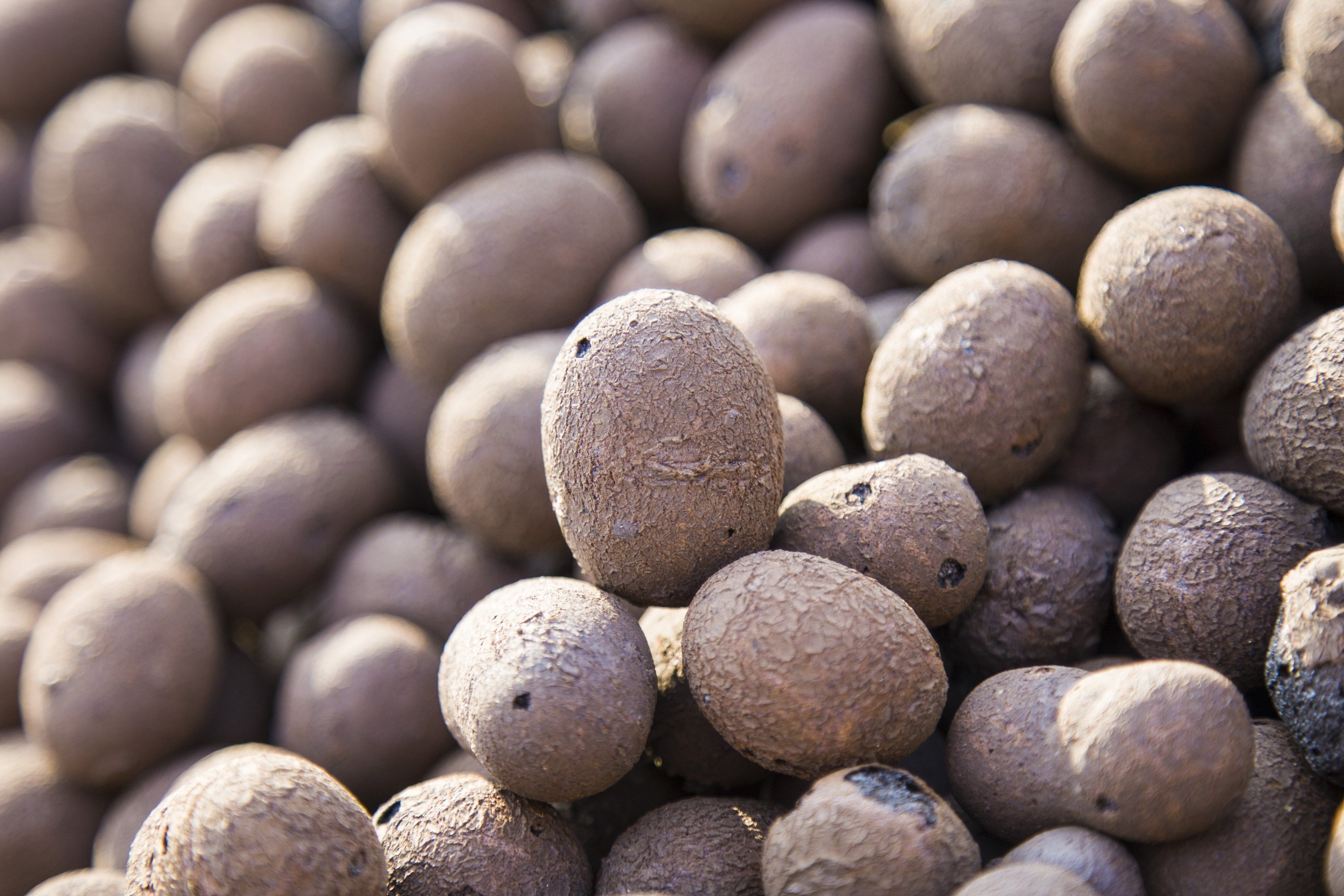 成品化粪池玻璃钢家用小型2立方3立方/吨三级隔油池储水灌化粪池