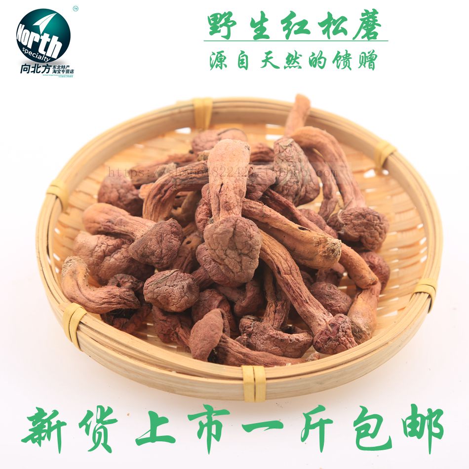 东北野生红蘑菇 肉蘑 松树伞 松蘑松蘑菇红松伞 红松蘑 精选包邮