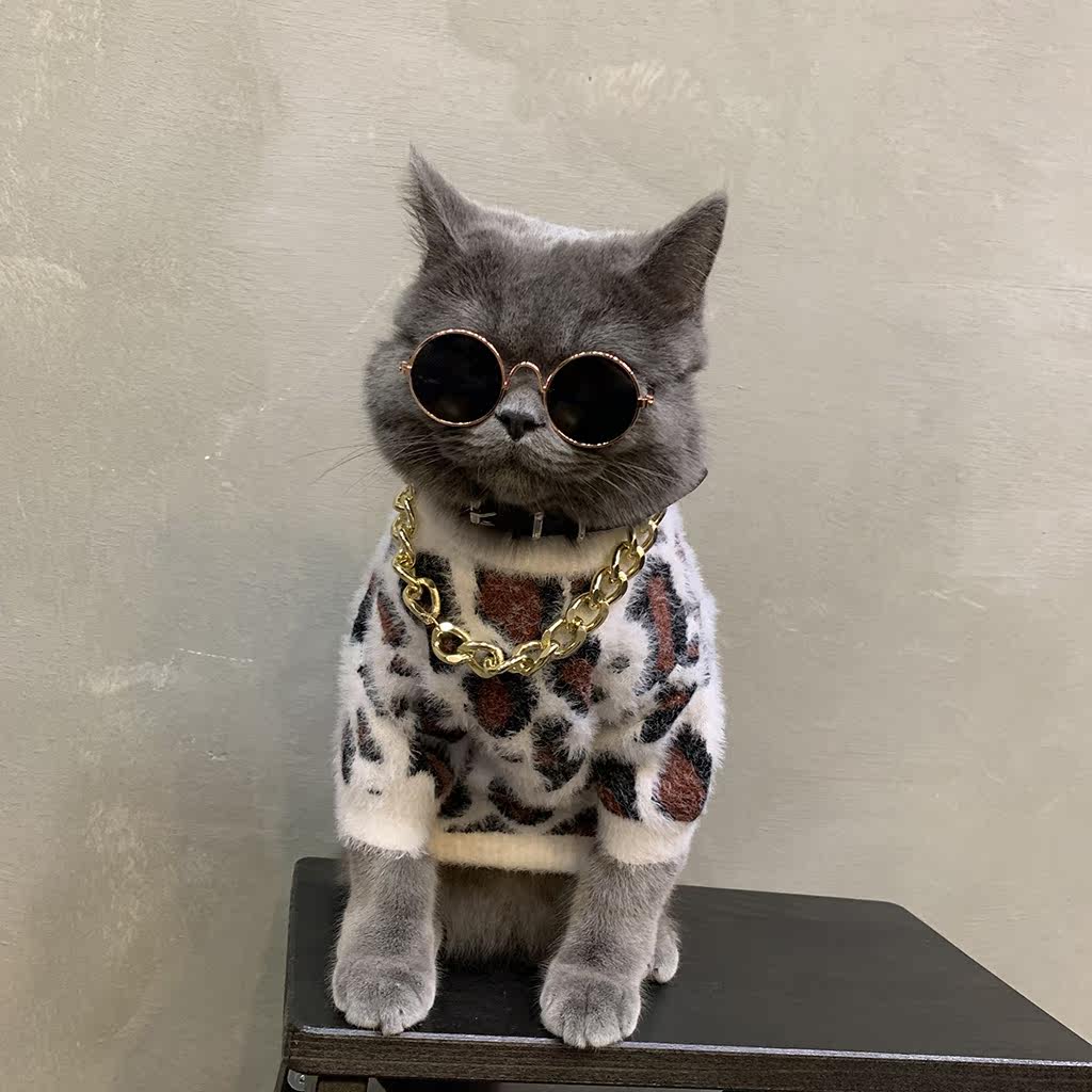 特价猫咪衣服搞笑_网红猫咪衣服搞笑猫衣服宠物秋冬英短可爱保暖豹纹