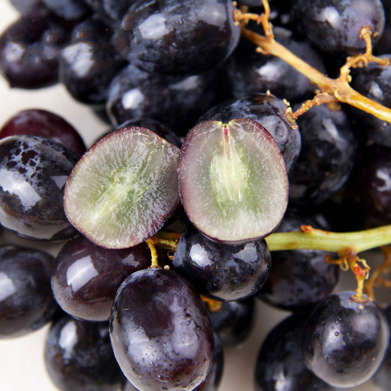 一折黑加仑新鲜水果