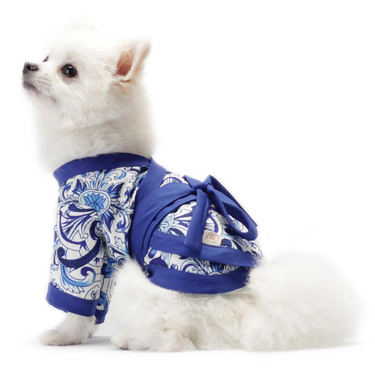 宠物一旦打扮起来,比你还会穿衣服!