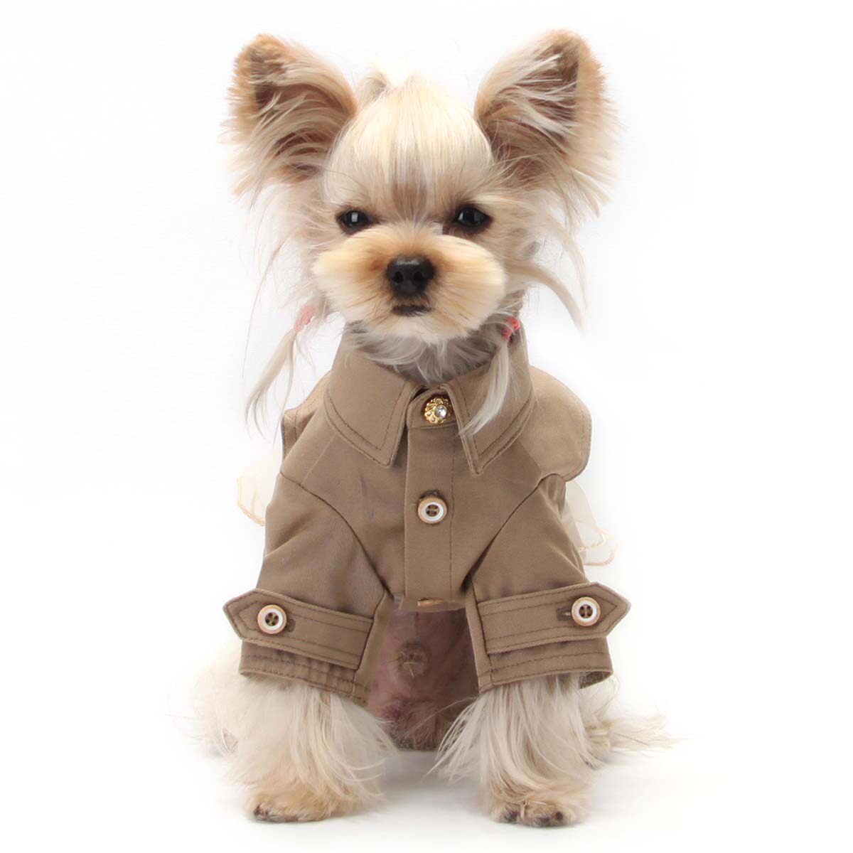 宠物一旦打扮起来,比你还会穿衣服!