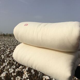 新疆棉被长绒棉 阿克苏纯棉花被芯 秋冬被芯 尺寸可定制