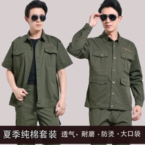 迷彩服的发明是科学家看到什么得到的灵感