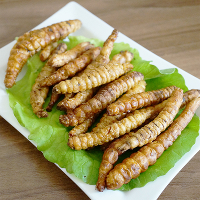 云南剑川特产地参虫草参地龙菜泽兰根雪参干货500g包邮买2送1