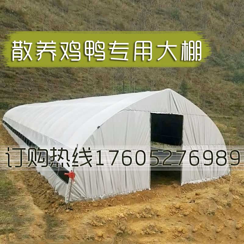大棚骨架 钢管