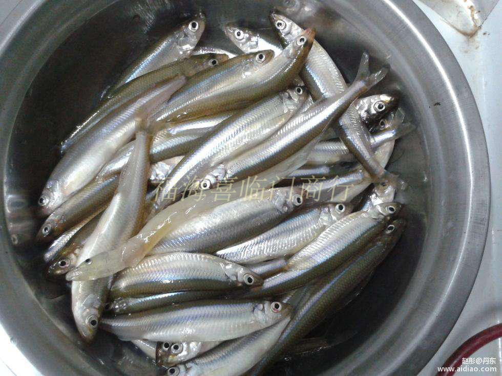 福海冷水鱼 池沼公鱼干新疆黄瓜鱼 新疆味道 250g 两份包邮