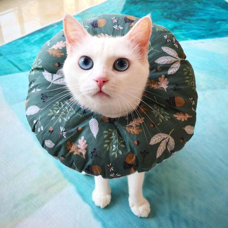 宠物用品伊丽莎白圈泰迪狗狗防咬圈金毛项圈脖套脖圈猫咪洗澡头套