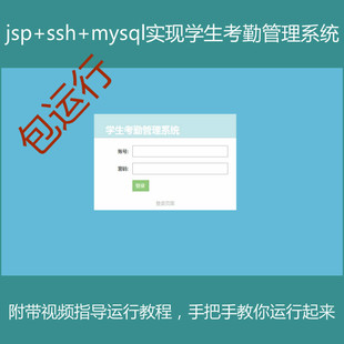 美女网站源码视频