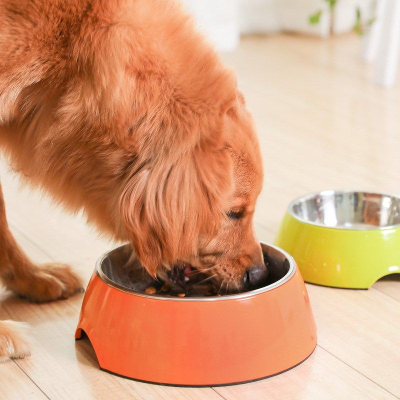 狗狗饭盆双碗 大号_狗粮碗宠物狗大型犬大号狗盆泰迪金毛双碗狗狗食盆