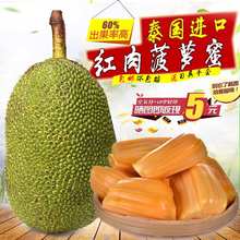 【红肉菠萝蜜】_红肉菠萝蜜图片