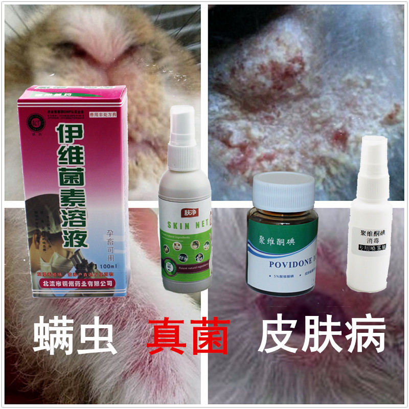 兔药 兔子荷兰猪药 真菌螨虫皮癣疖螨消 皮肤病 兔博士 聚维酮碘