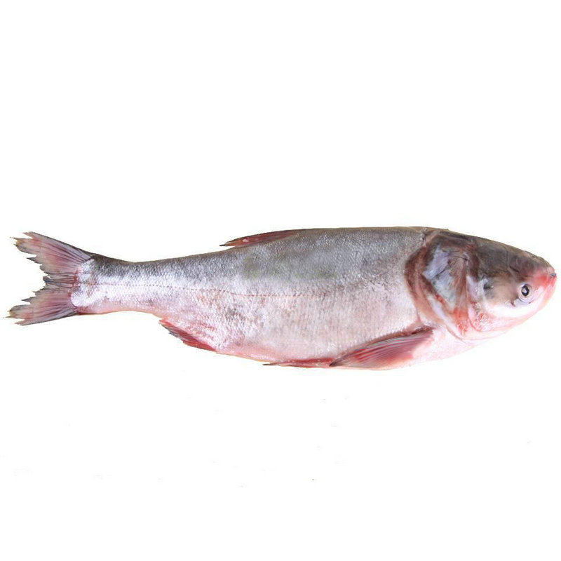 一条胖头鱼,烹出五湖四海的美味