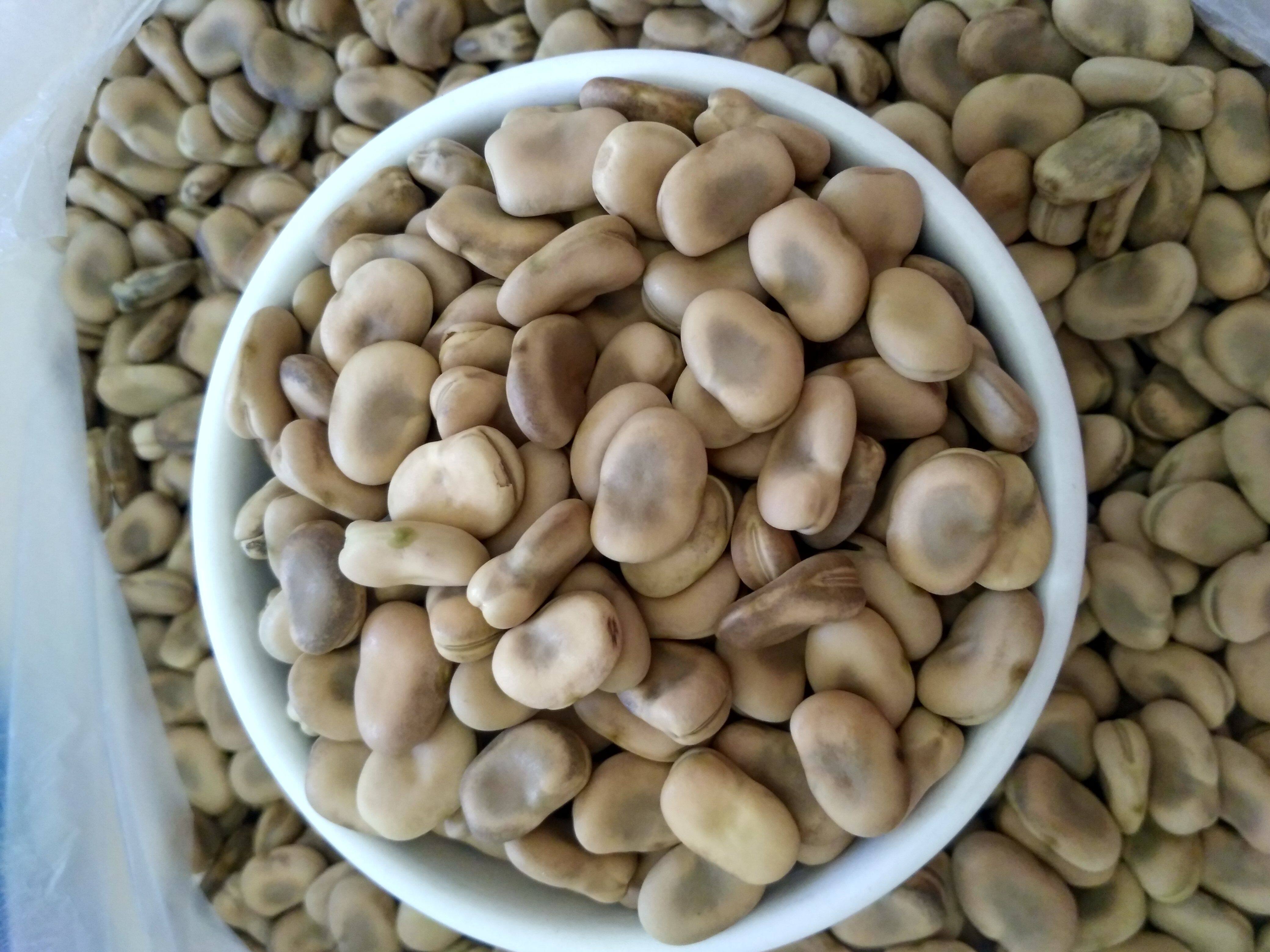 特价蚕豆 农家 新鲜