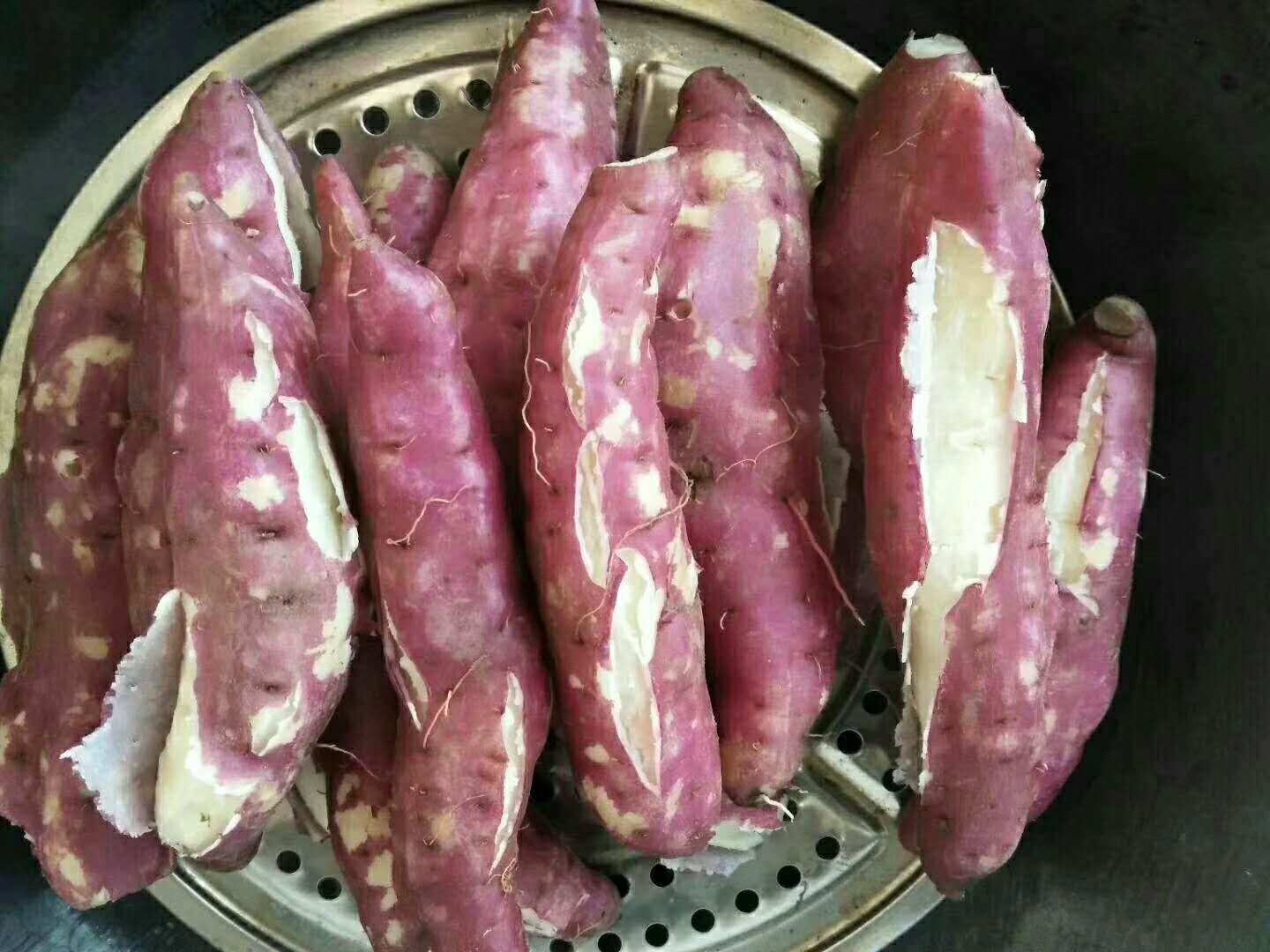 热销文君地瓜
