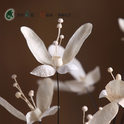 蝶舞幽兰干花花束蝴蝶兰仿真花假花仿真花干花真花客厅装饰花落地