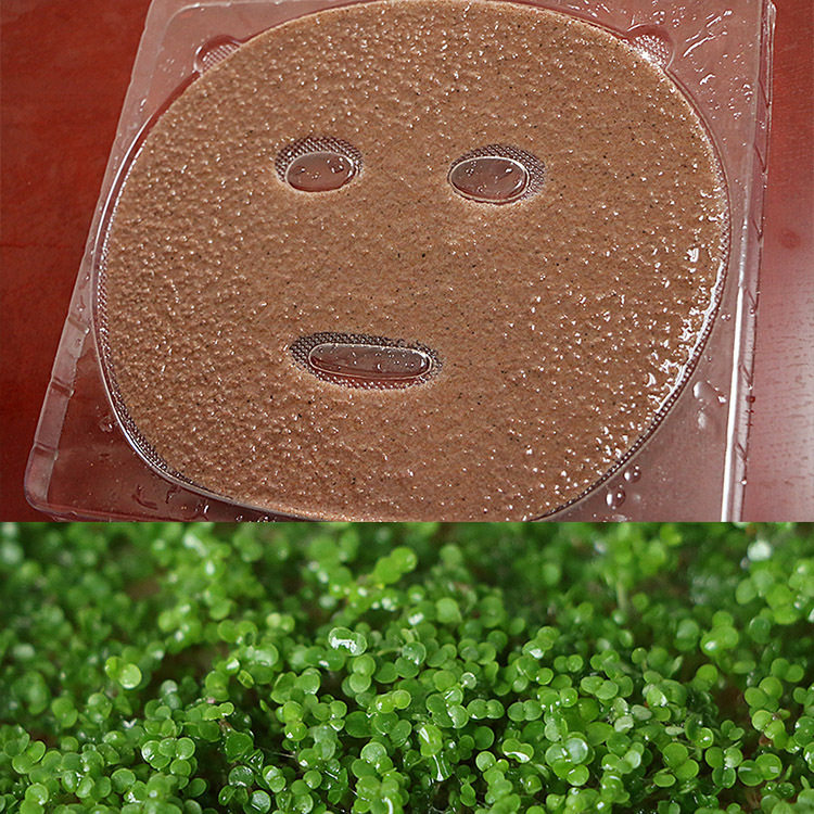 热销盒装面膜补水控油_发芽泰国海藻面膜10片盒装补水保湿控油亮肤