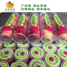 【新西兰小苹果】最新最全新西兰小苹果搭配优