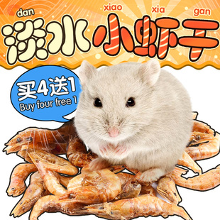 兔子粮食a兔子营养麒麟和仓鼠能在一起吗图片