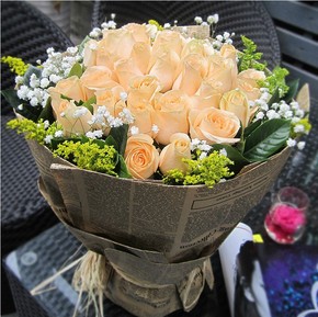 2018最新上海亚历山大鹦鹉价格优惠券、上海