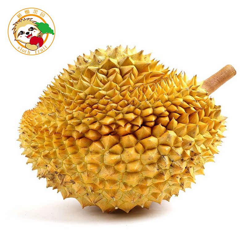 2018年马来西亚猫山王冷冻榴莲肉D197 新鲜榴