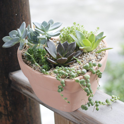 包邮陶瓷盆 心形爱心草莓心形陶瓷多肉植物花盆 家居景观小花盆_不